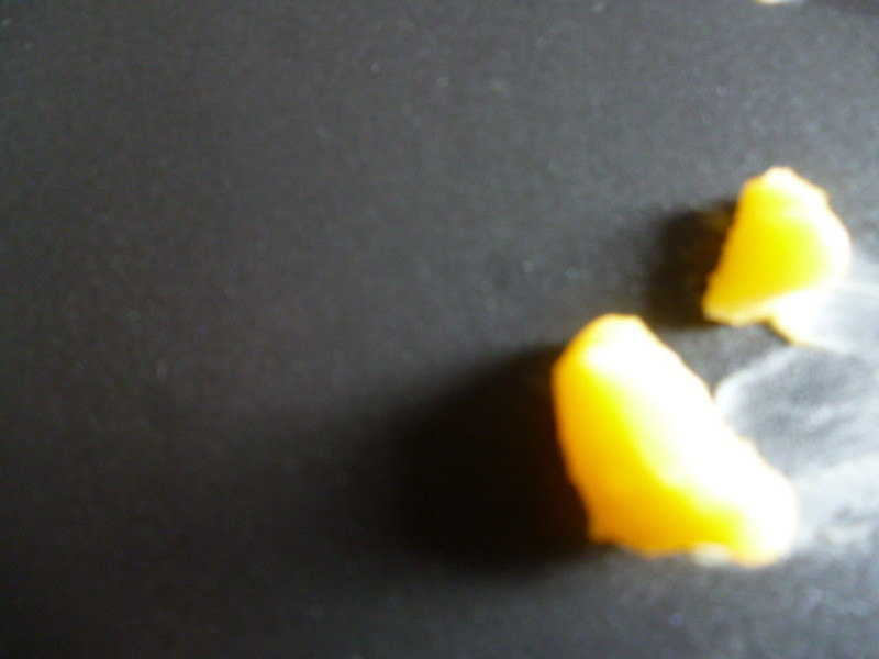 �����߲�Ũ��������