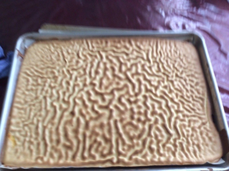 ��Ƥ�ɿ������������