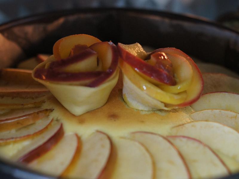 ����ƻ���������������