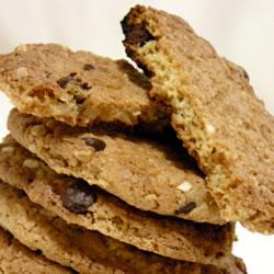 ����Ƭ���������