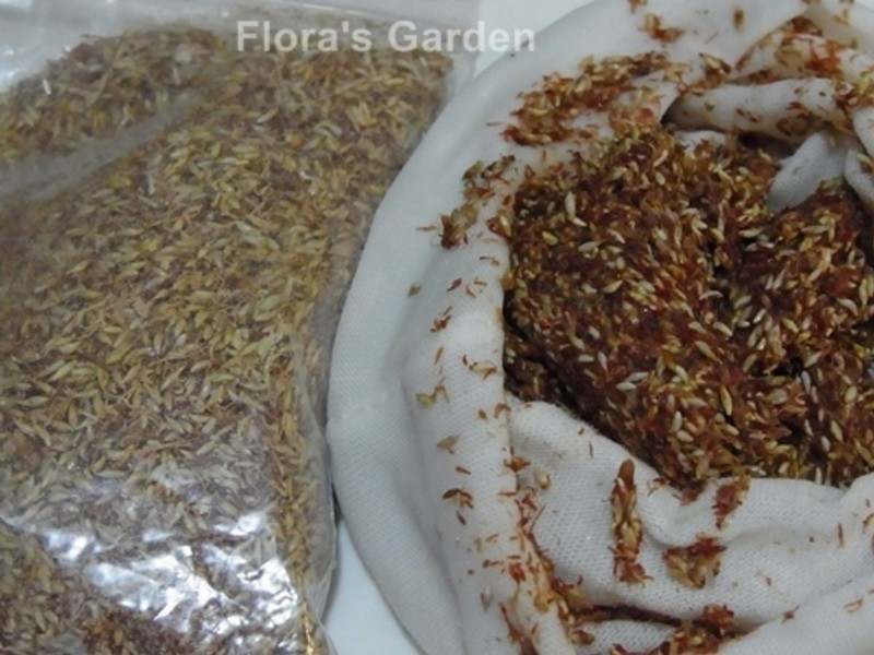 �Լ�ϴ����--���ʰ��񶳵�����