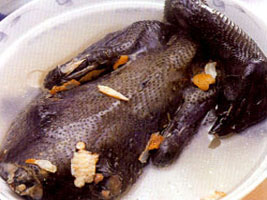 ������ڼ�������