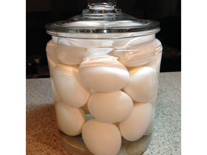 �Z�̵�������