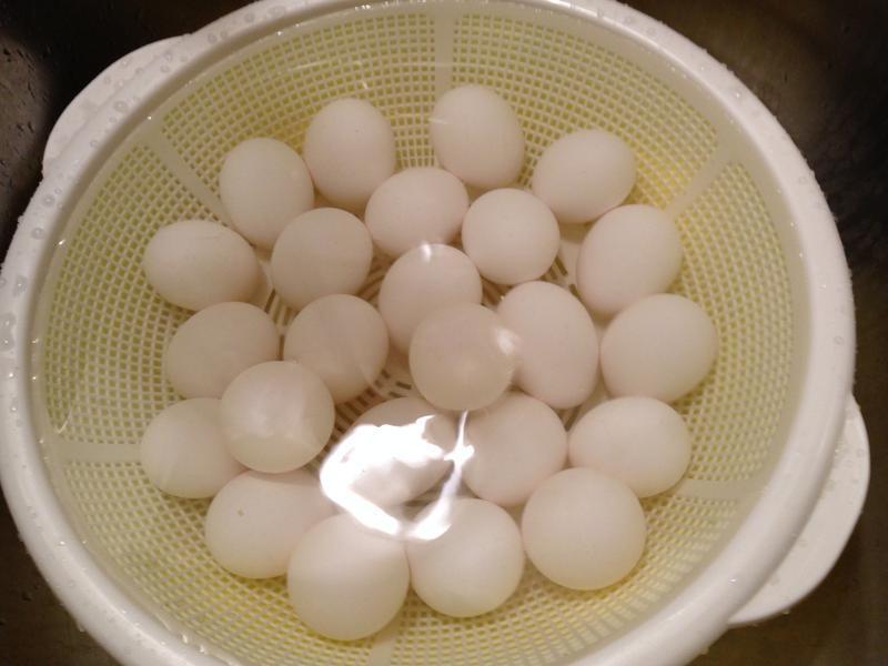 �Z�̵�������