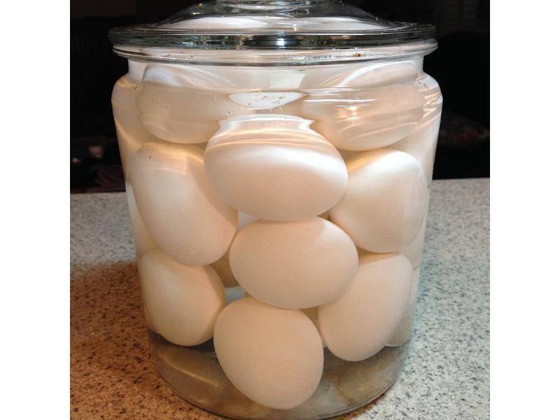 �Z�̵�������