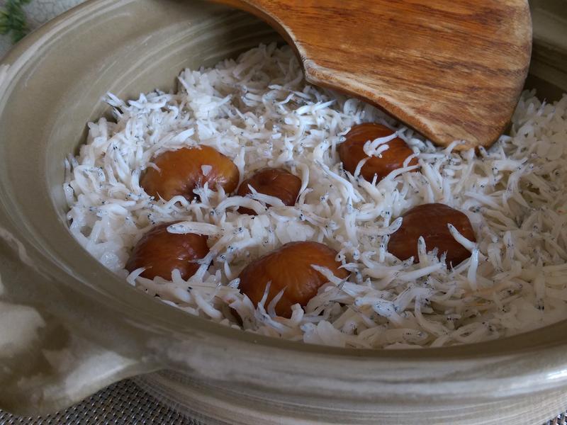 ���Ӵ���&������������������