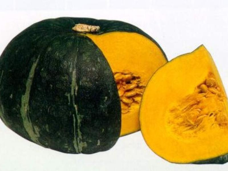 ���������Ϲ��ɵ�����