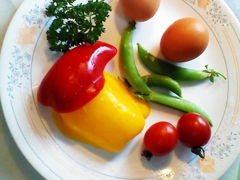 ԭζ����- ������ʳ����(��)������