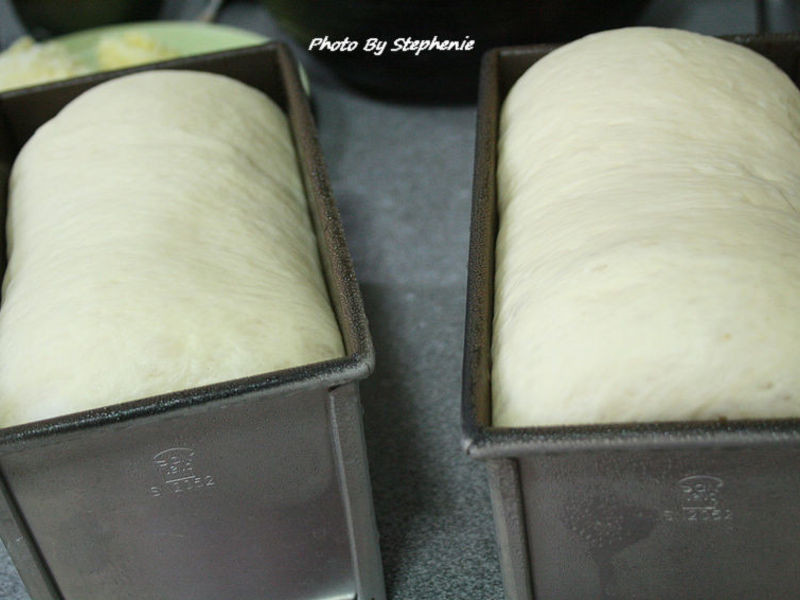 Cheese Pizza��˾������