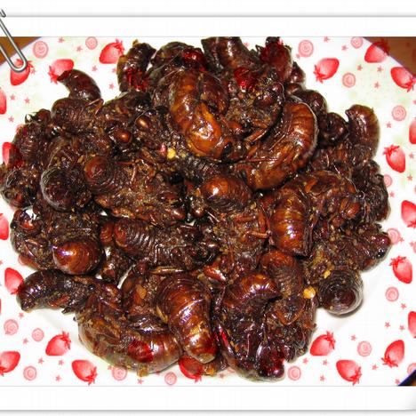 ��ը֪�˺������