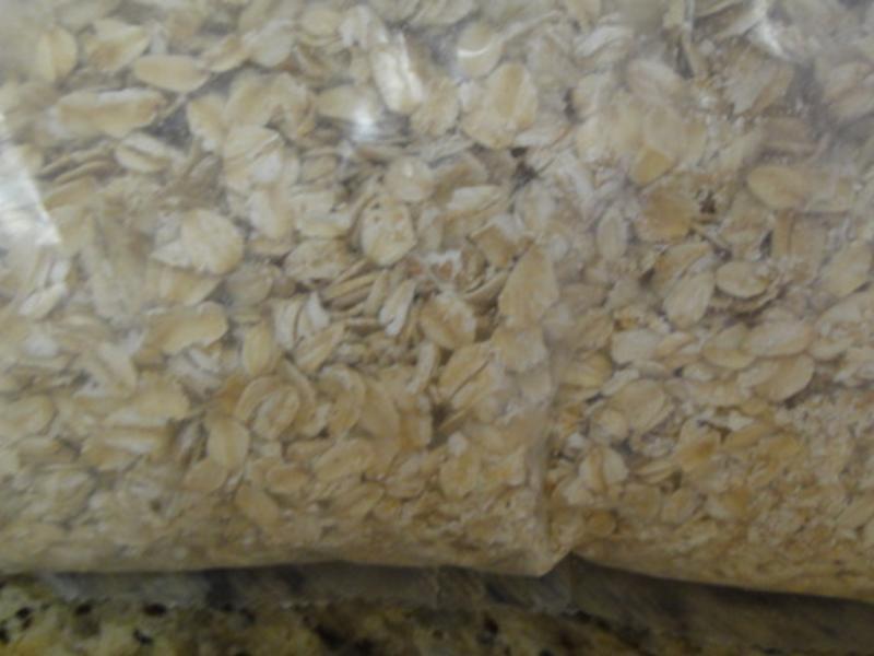 ����������Խݮ�������?!!!������