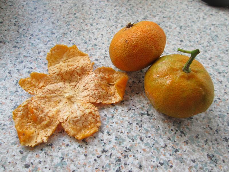 �X����~�����۵عϵ�����