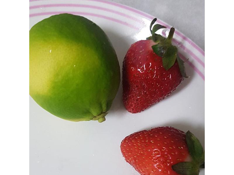 ݮ���ϵ����������