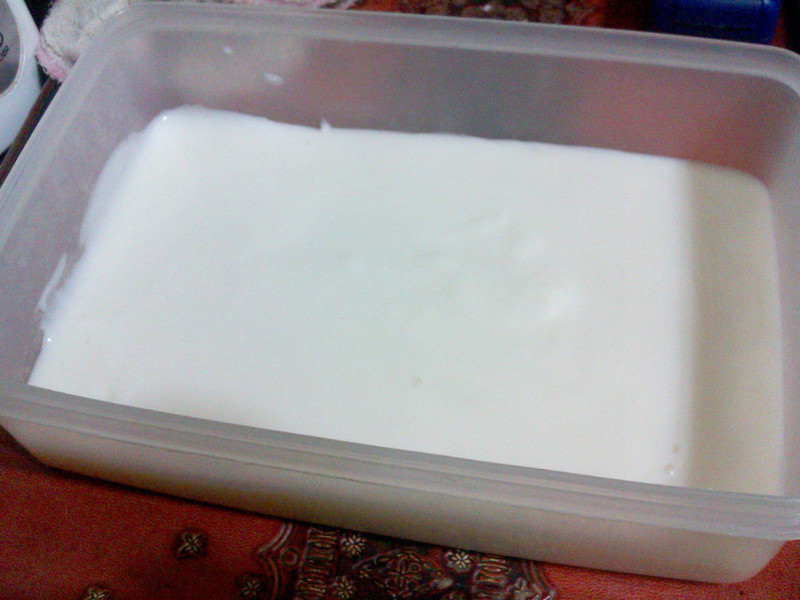 ��?���������Ҷ�������