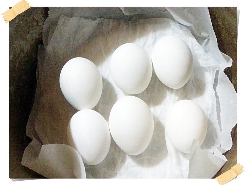 �Ϳ�����ɳ��������