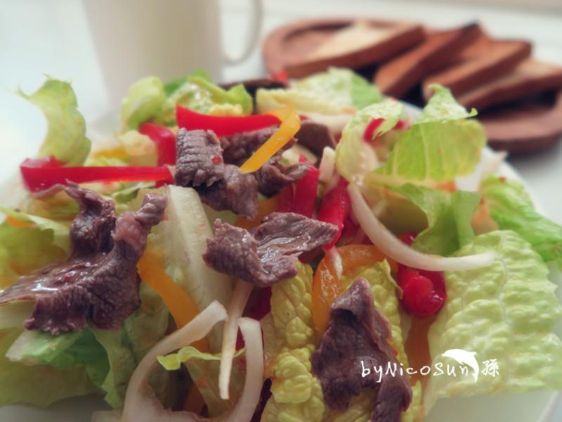 ̩ʽţ��ɳ��������