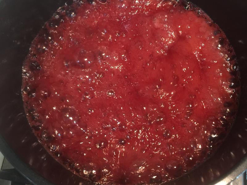 ��ʽ��ݮ�޻��ǵ�����