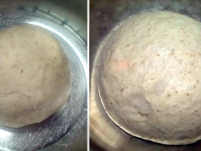 ����΢ȫ��~Ӣʽ���ң���������������