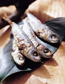 �������տ�������