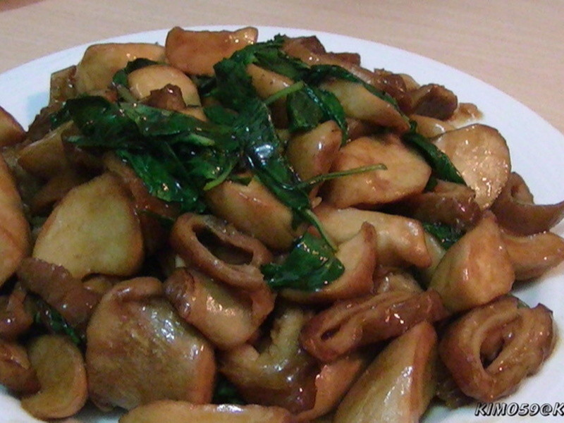 ���ȷʳ�������