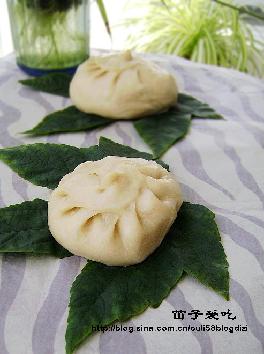 ���Ĳ˰��ӵ�����