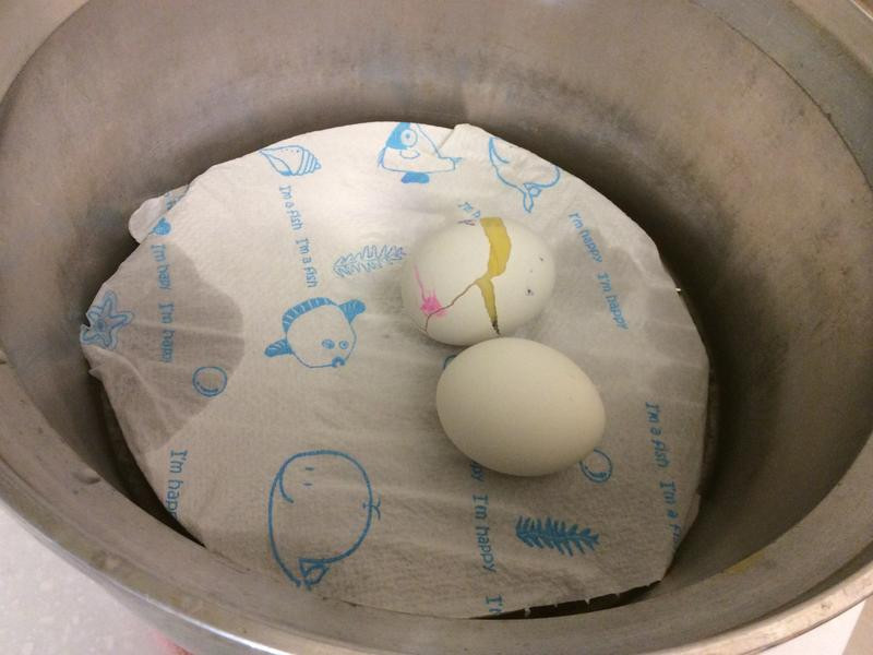 �ƽ�ˮ�󵰵�����