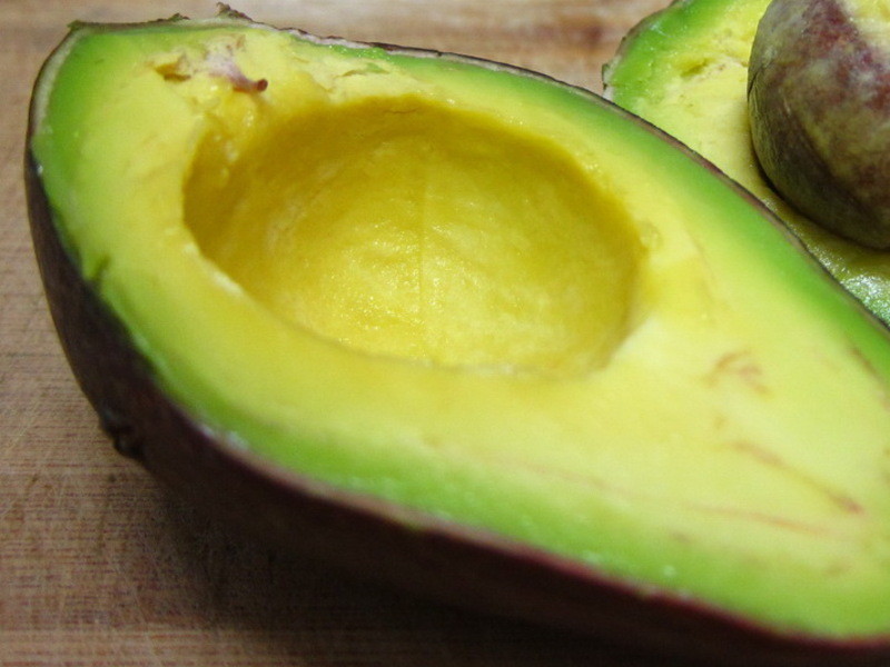 ����ɳ����������