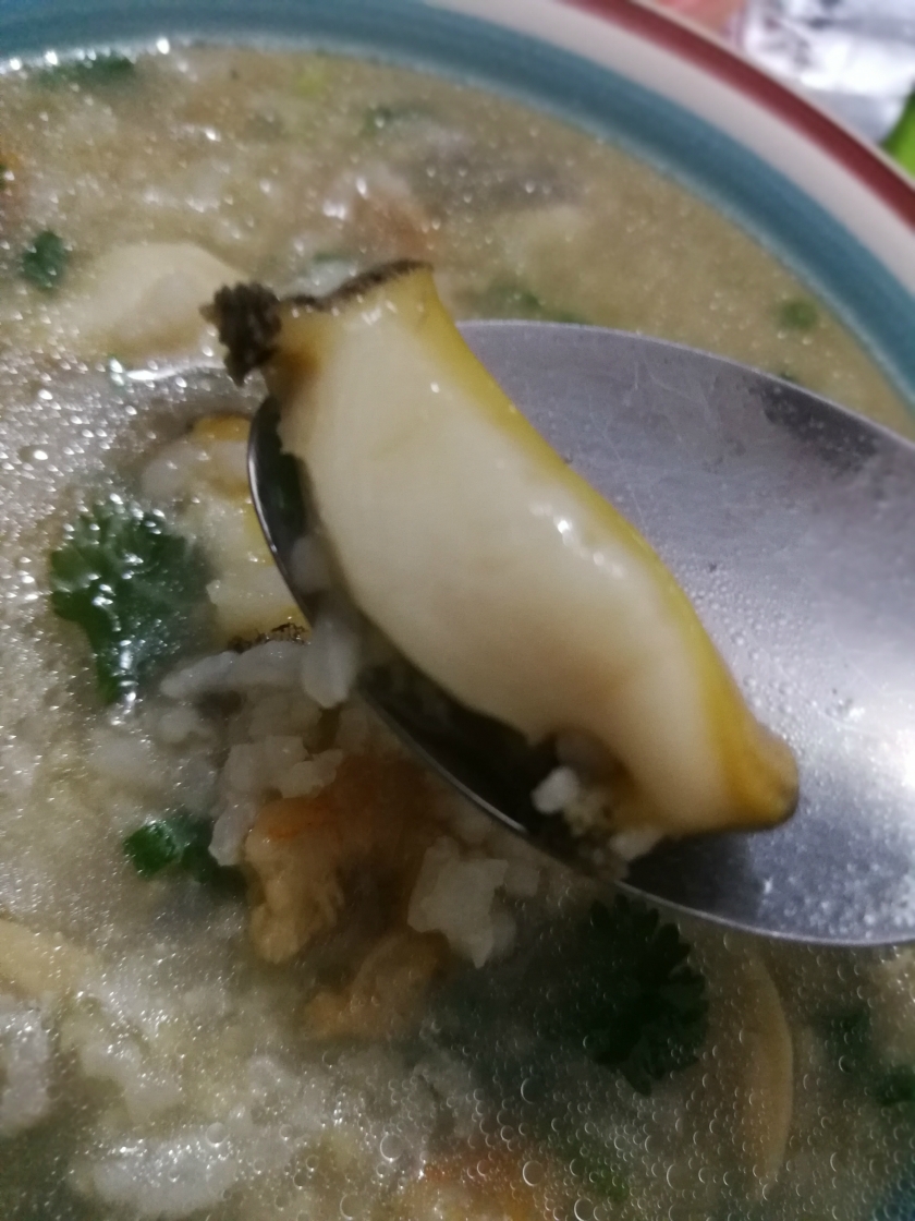 ���㺣���������