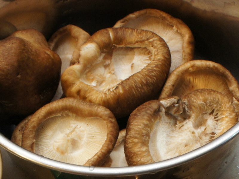 ŷ����֭�㹽���������