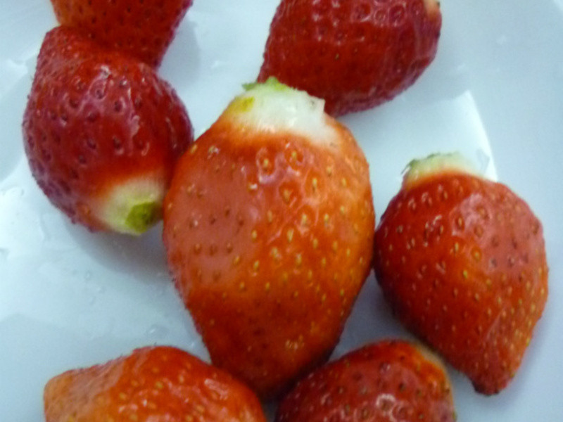 ����ݮ�Ͱ�ӥ�����̡���ݮ�����̵�����