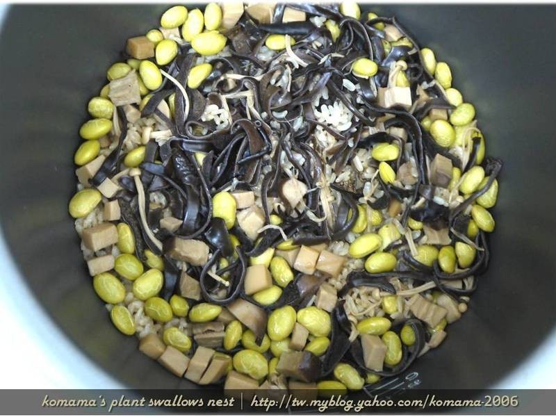 �ڹ���ë��������������