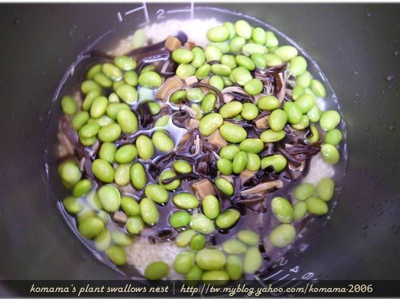 �ڹ���ë��������������