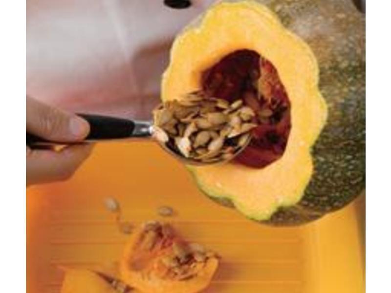 �Ұ������������������Ϲ��ѵ�����