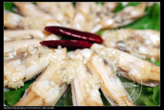 �������ӵ�����