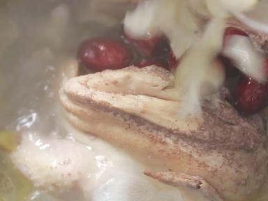 ƻ���ٺ�������������