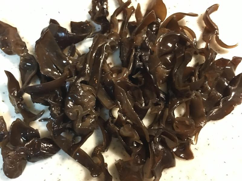 ��ľ�����������