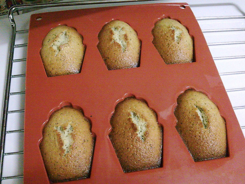 �̲������������