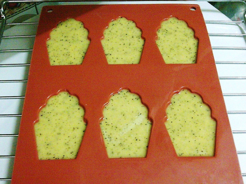 �̲������������