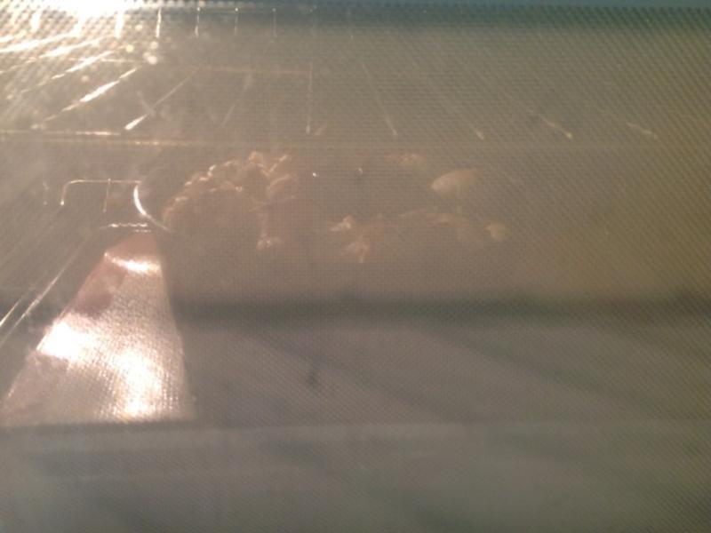 �ݷ�ģ������˺�����ۺ춹������˾?!!!������