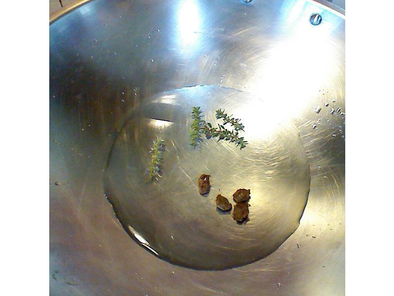 ԭζ���� - ÷�ӵع����������