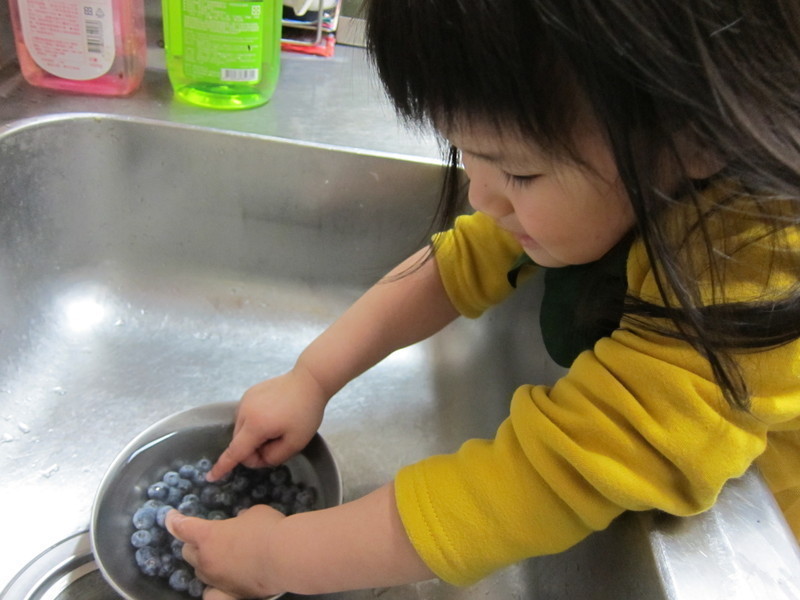 ˫ݮ�����ҵ�����