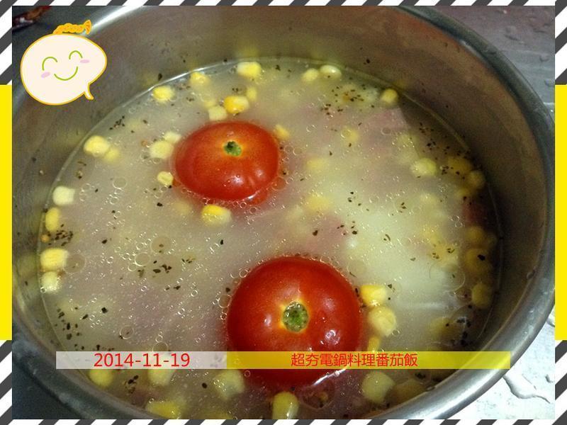 �����������ެ�ѷ�������