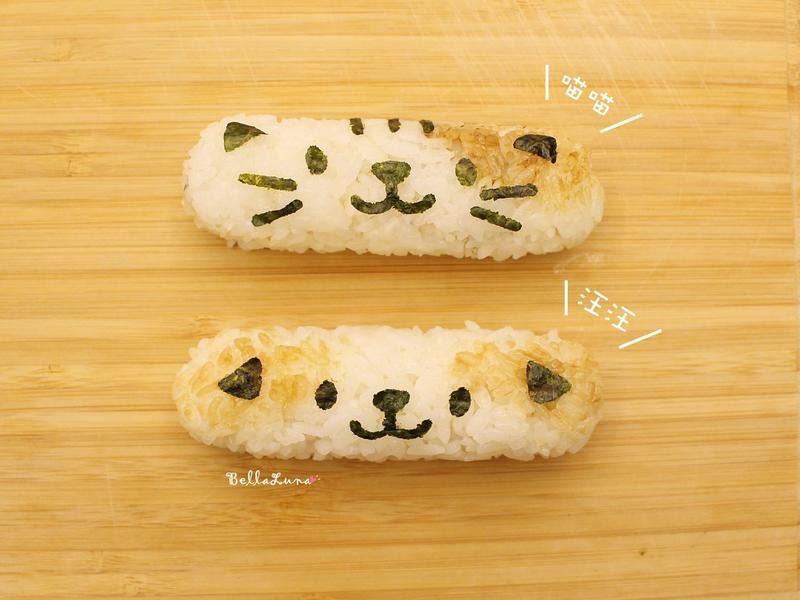 �ɰ�����è������ŵ�����