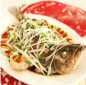 XO�������������