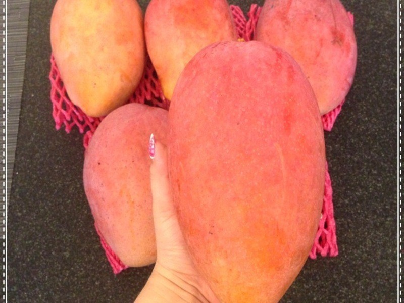 ˫��â�����ֶ����ҵ�����