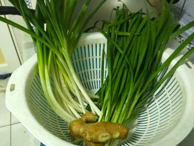 ˮ�Ȼ������ڵ�����