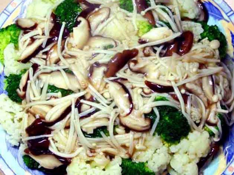 ��Ҭ���ʹ�������