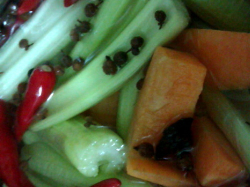 ���ƴ�ζ�ݽ�(�ݲ�)������