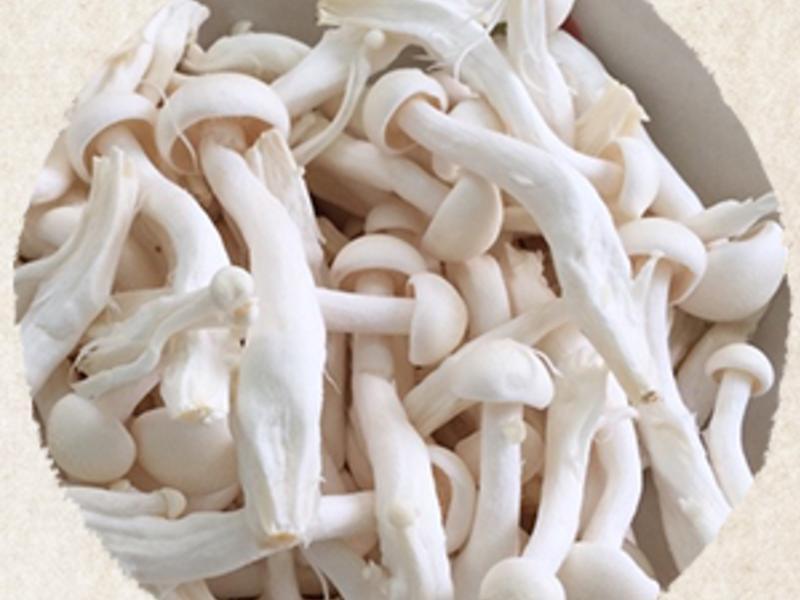 �Ǵװ�����������������