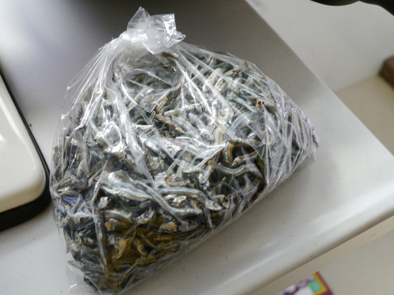 ����è��ʳ����С��ɵ�����